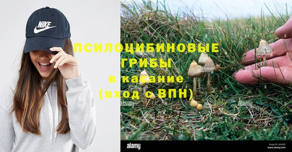MDMA Premium VHQ Лиски