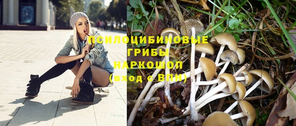 PSILOCYBIN Липки