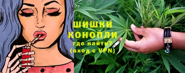 PSILOCYBIN Липки