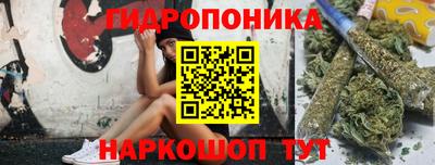 каннабис Бердск
