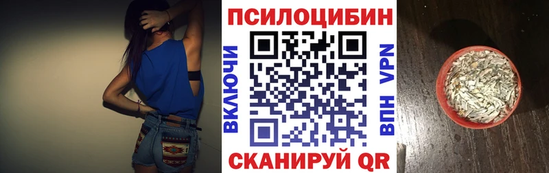 Псилоцибиновые грибы GOLDEN TEACHER  Александров 