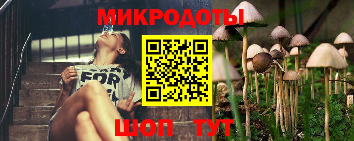 Александров  Псилоцибиновые грибы мицелий  Псилоцибиновые грибы MAGIC MUSHROOMS  Вход с VPN 