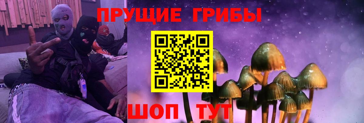 Псилоцибиновые грибы мицелий Александров