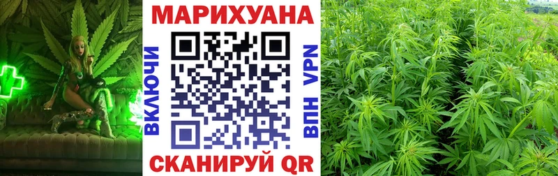 Каннабис OG Kush  shop как зайти  Александров  купить наркотики сайты 
