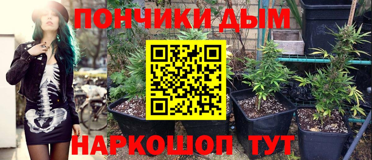 Бошки Шишки марихуана  Вход с VPN  Каннабис планчик  Александров  Шишки марихуана ГИДРОПОН 